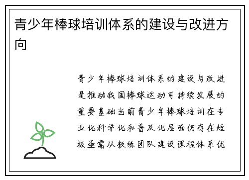 青少年棒球培训体系的建设与改进方向